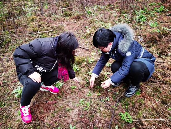 IMG_1244(20201127-214151)