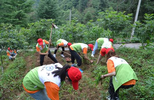 QQ图片20210715195940