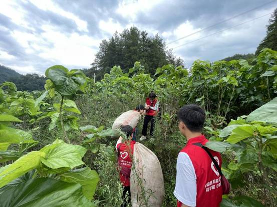 C575FF8EDF7335D51B3C8D69237835DC